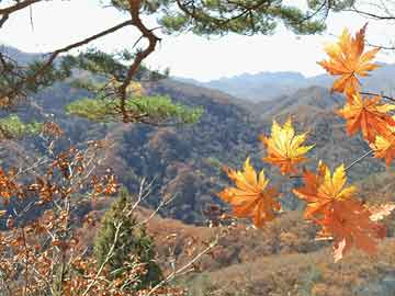 扎根一地  着眼全国  走向世界